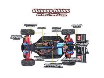 Радиоуправляемая багги Remo Hobby Scorpion Brushless (красная) 4WD 2.4G 1/8 RTR