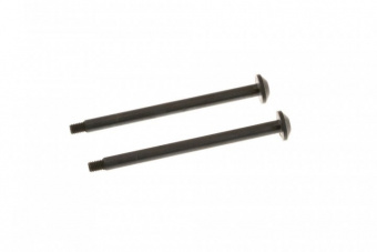 HINGE PIN REAR OUTER (2pcs)