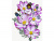 Картина по номерам 15х20 ЦВЕТЫ КОСМЕИ (13 цветов)