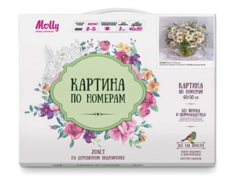 Картина по номерам 40х50 БУЗИН. РОМАШКИ (26 цветов)