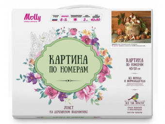 Картина по номерам 40х50 Бузин. Деревенский натюрморт (27 цветов)