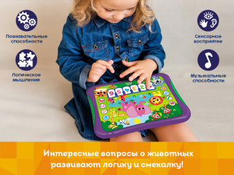 Развивающая игрушка Kids Hits Хит Пэд Музыкальный зоопарк