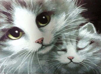 Котики. Картина по номерам 40х50