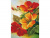 Картина мозаикой 15х20 ОГНЕННЫЕ ОТТЕНКИ (16 цветов)