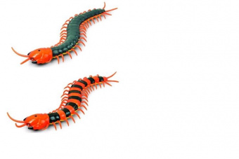 Радиоуправляемая многоножка SCOLOPENDRA