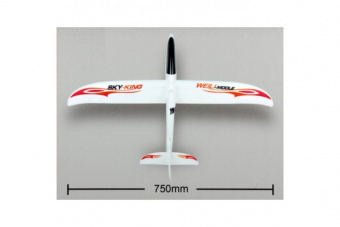 Радиоуправляемый планер Sky King 2.4G