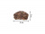 Драконы MASAI MARA MM207-002 для детей серии Мир драконов (5 пр.) Драконы MASAI MARA MM207-002 для детей серии Мир драконов (5 пр.)