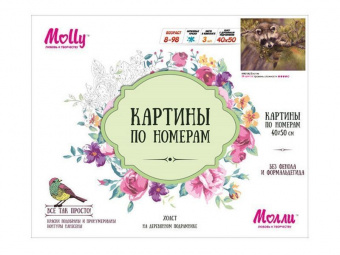Картина по номерам 40х50 ЕНОТИК (28 цветов)