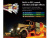 Система освещения ПРО G.T.Power со звуковым и вибрационным модулем для радиоуправляемых грузовиков