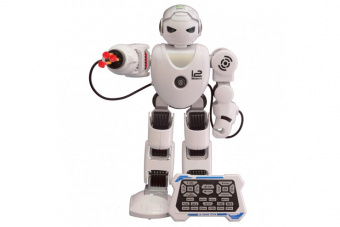 Робот Shantou Gepai Alpha K1 Robot
