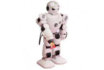 Робот Shantou Gepai Alpha K1 Robot