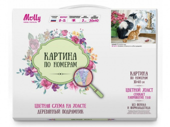 Картина по номерам с цветной схемой на холсте 30х40 Познаем мир (24 цвета)