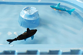 Набор Радиоуправляемые Рыбки Create Toys (С Бассейном) Create Toys 3315