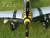 Радиоуправляемый самолет Top RC P-51D желтый 750мм 2.4G 4-ch LiPo RTF Радиоуправляемый самолет Top RC P-51D желтый 750мм 2.4G 4-ch LiPo RTF