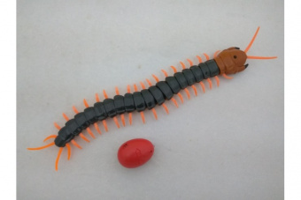 Радиоуправляемая многоножка SCOLOPENDRA